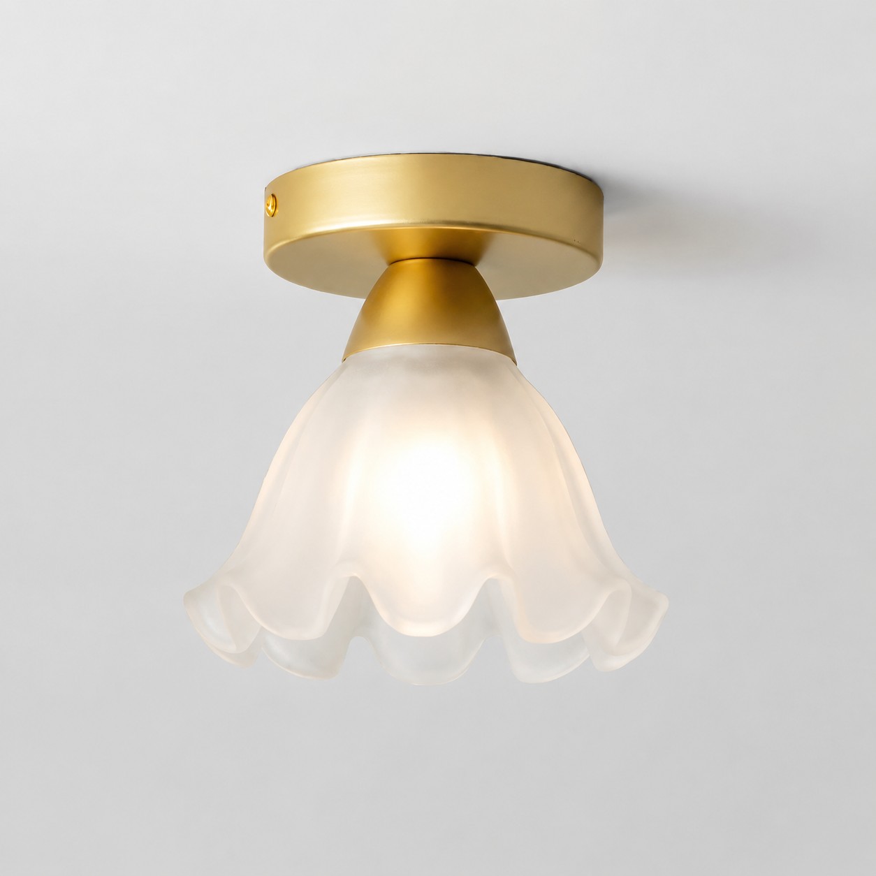 Iron petal glass flush mount ceiling light